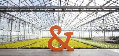 Voorsorteren op veranderingen en samenwerken op het gebied van data & Power BI