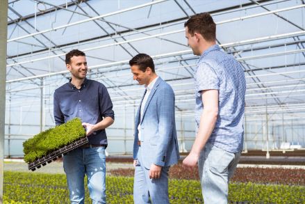 mannen van edens plants